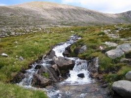 Cairngorms